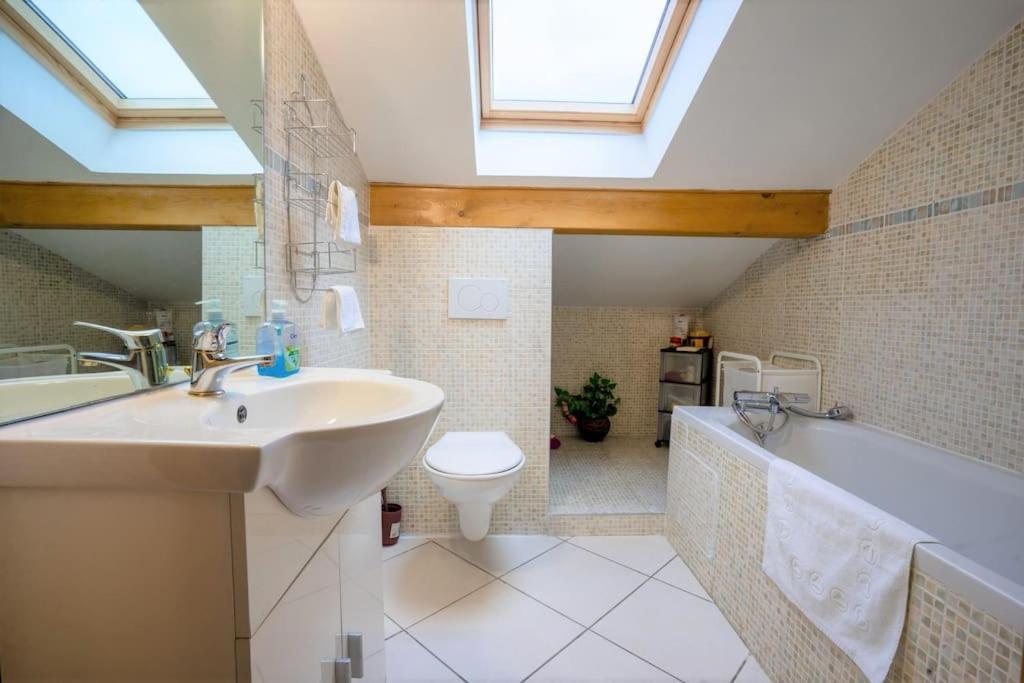 Cabana & Panorama Lac Annecy -Parking & Terrasse Sévrier Екстериор снимка